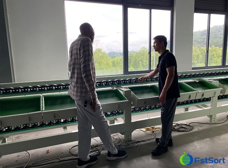 images/1690528877878fruit sorting grading machine.jpg